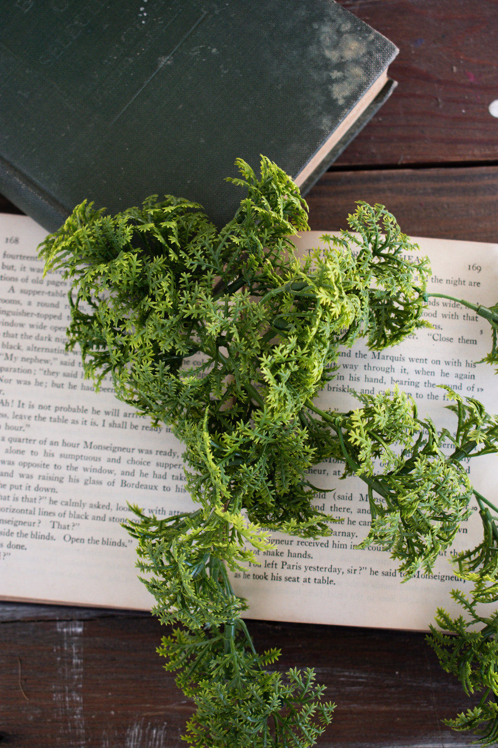 moss greenery