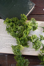 moss greenery