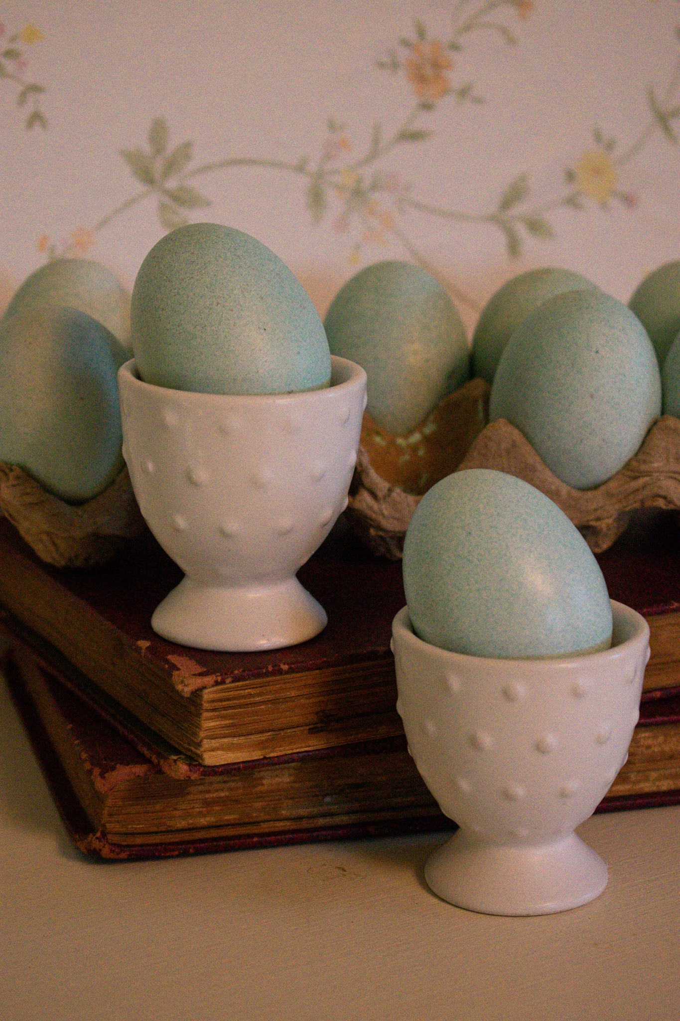 dot egg holders