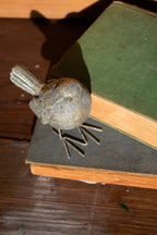 gold standing bird