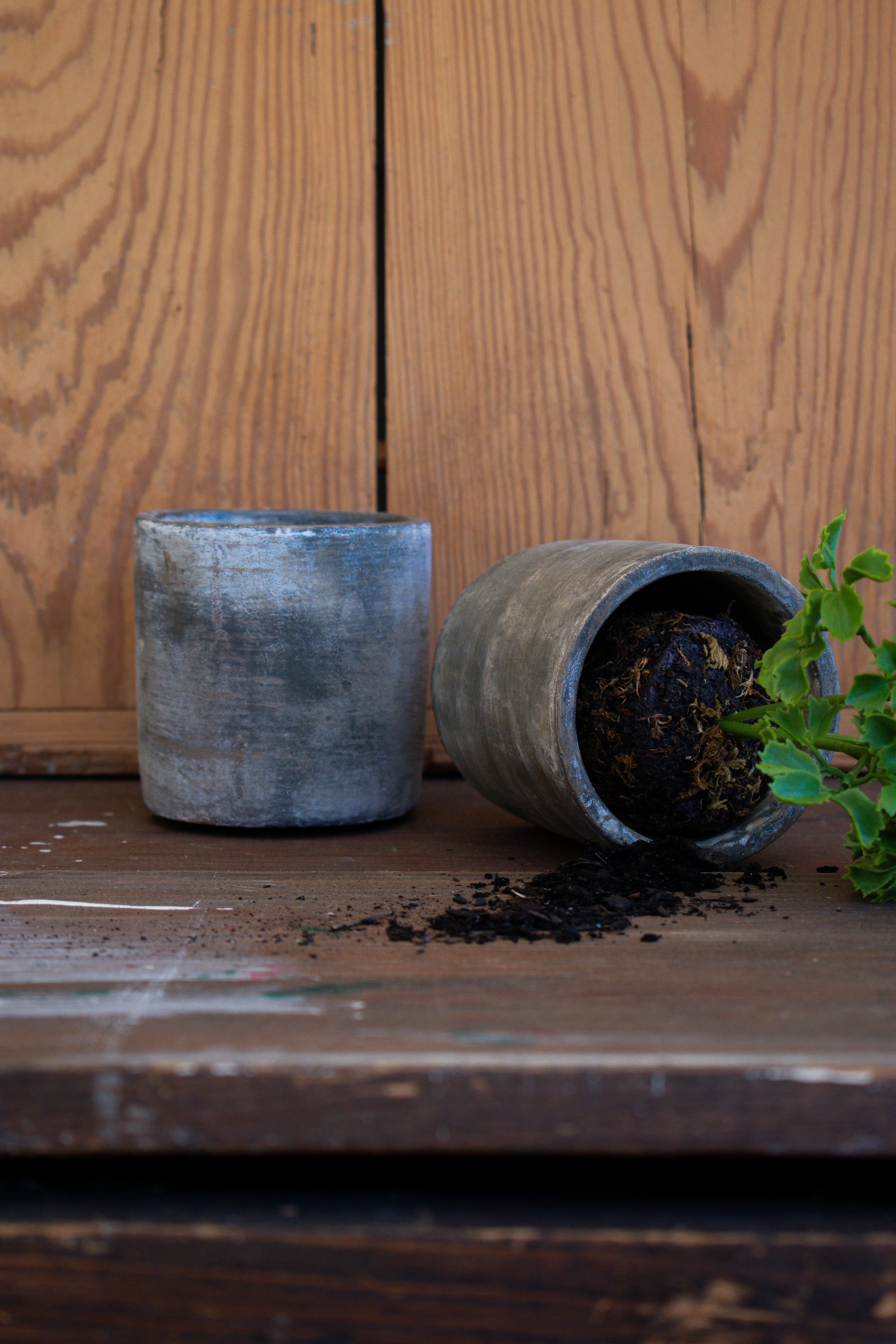 mini cement planter