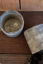 mini cement planter