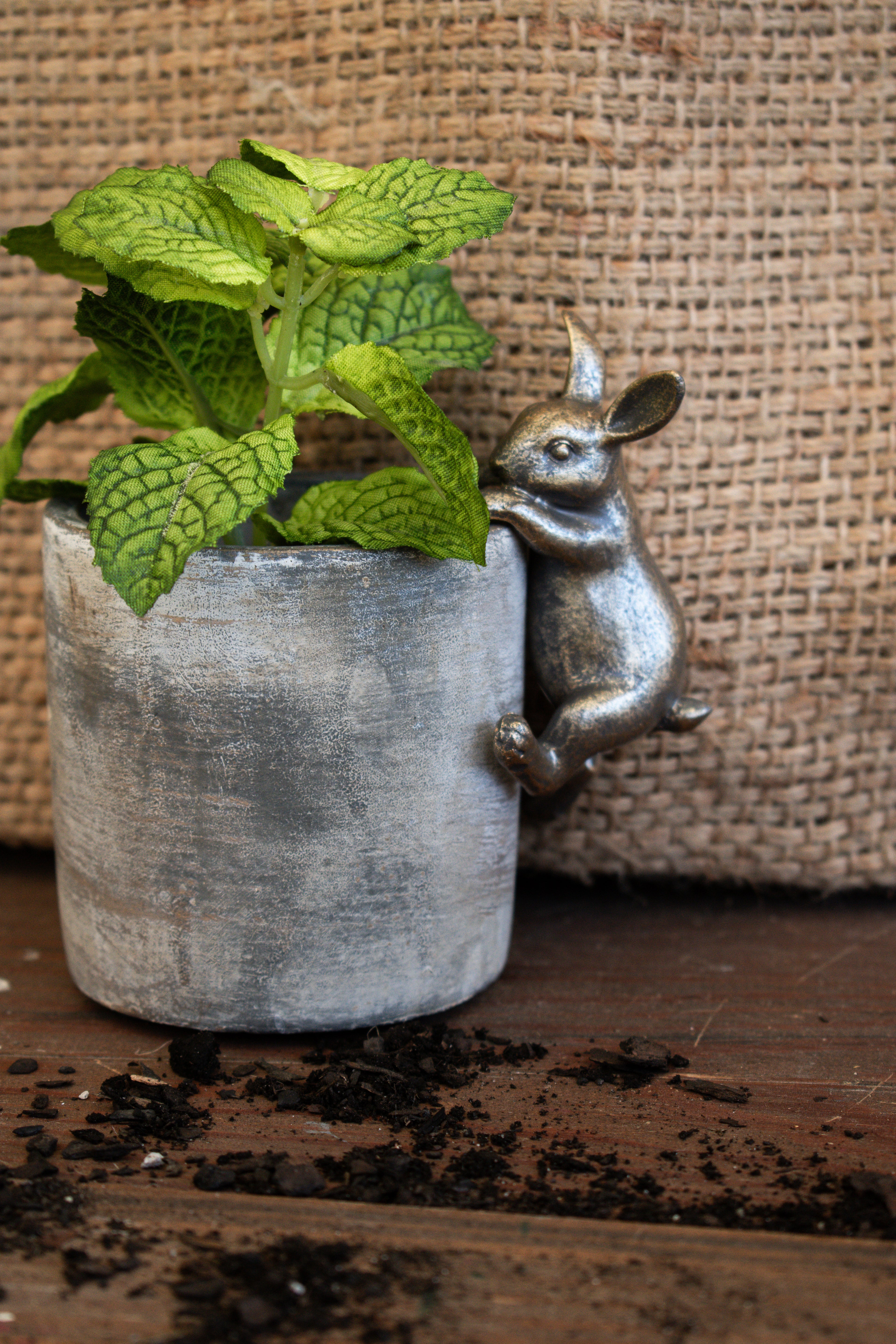 mini rabbit pot hugger
