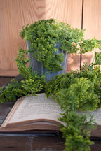 moss greenery