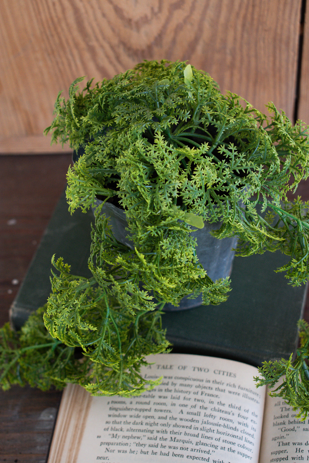 moss greenery