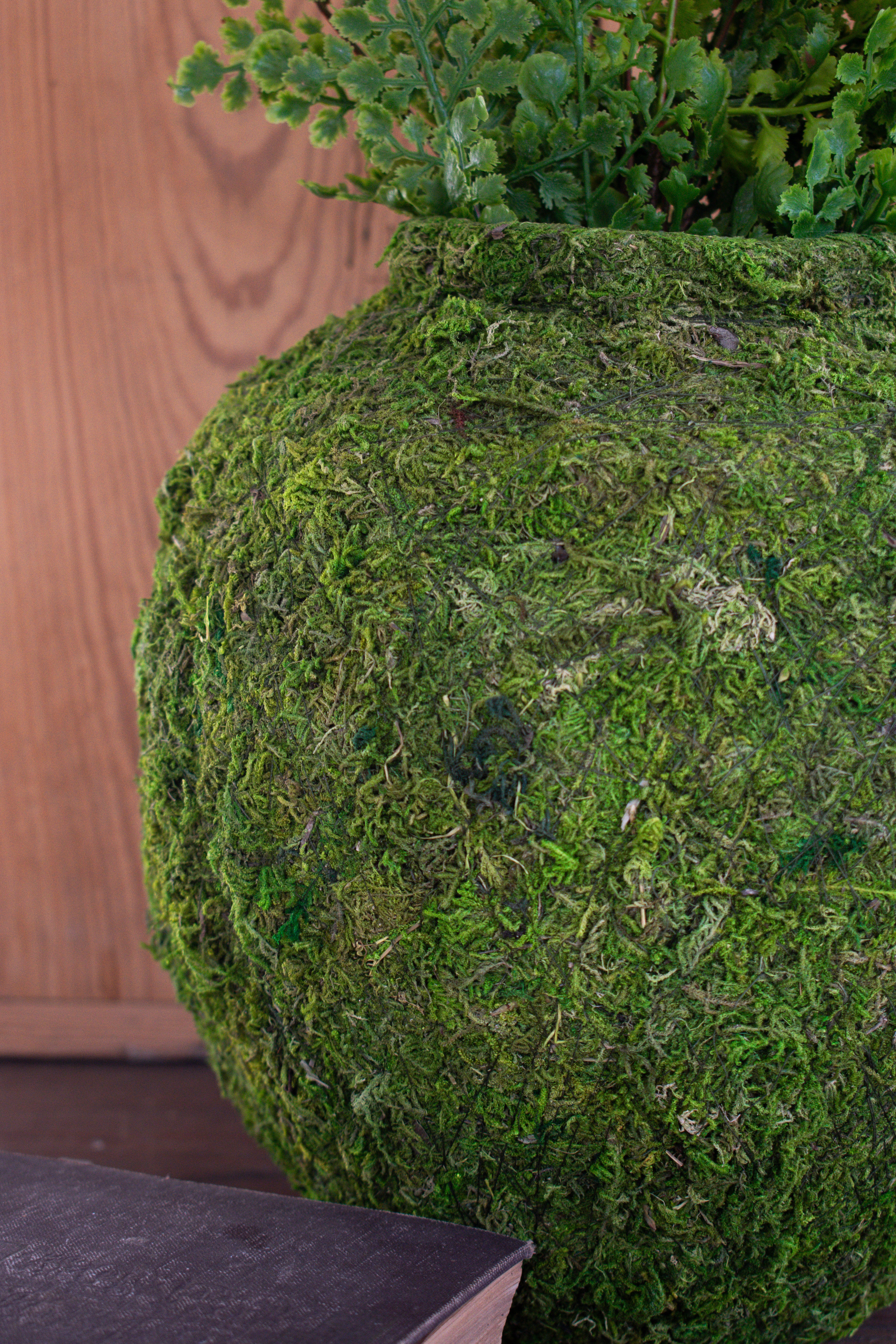 moss vase