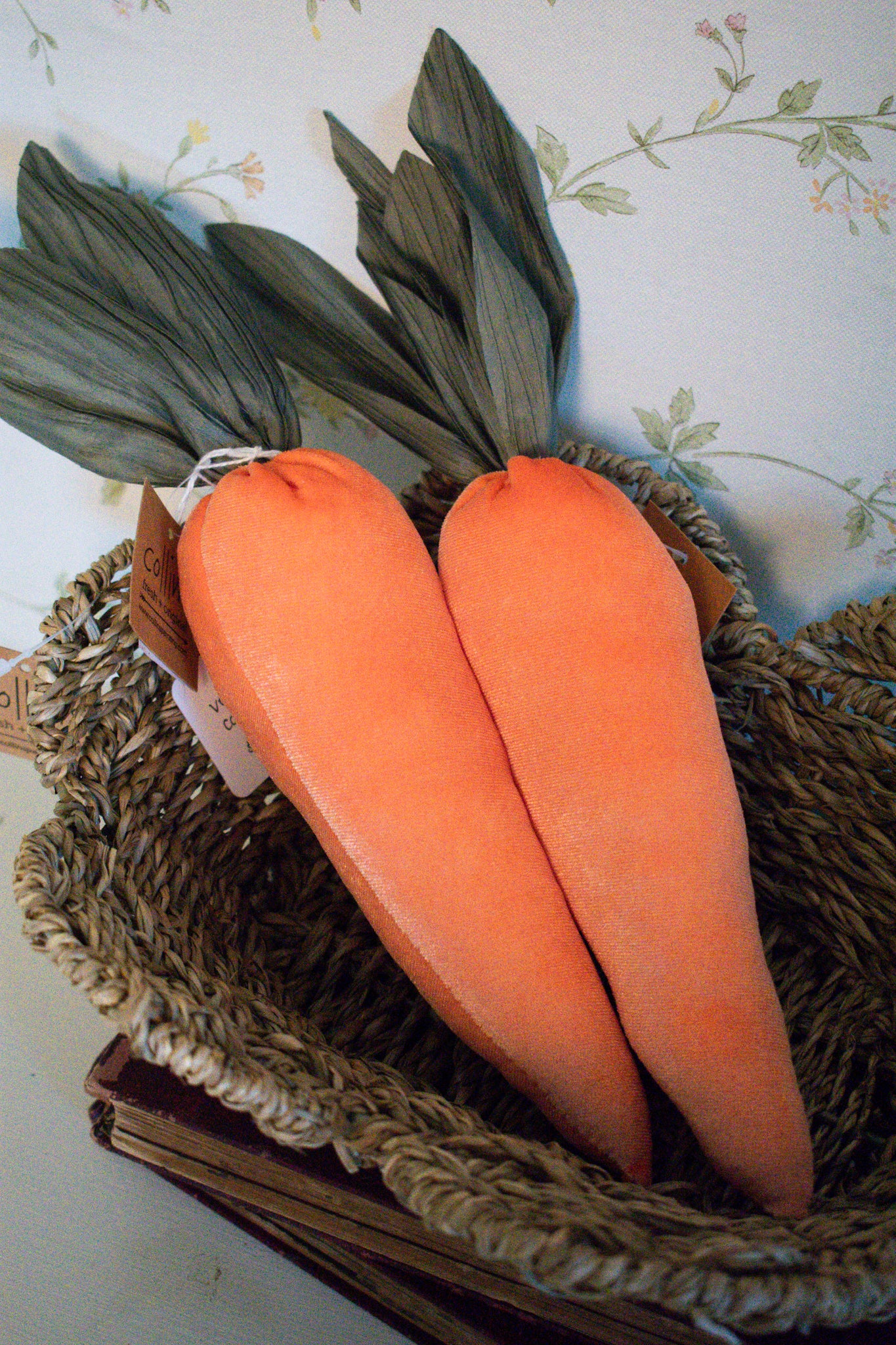 velvet carrot